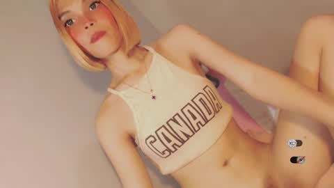 Bella online show from 28, 12, 2024