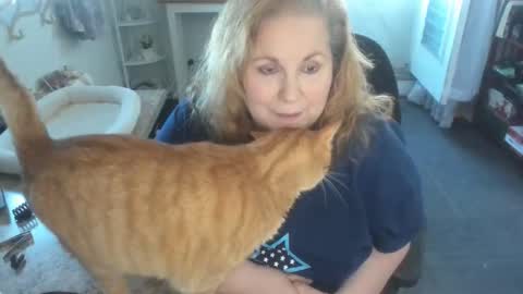 Bellavoca online show from 11, 4, 2026