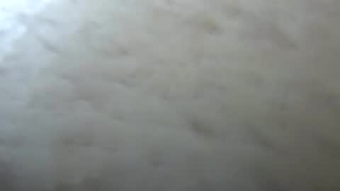 Snapshot of belle_ley chatting on 13, 4, 2026 Jack online show from 13, 4, 2026