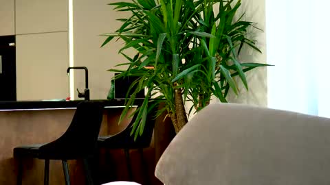 Belle online show from 12, 3, 2025