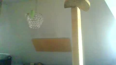 benizio online show from 30, 1, 2025