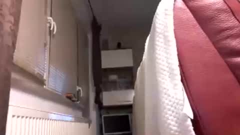 Snapshot of benutzmich0800 chatting on 14, 2, 2026 Benutzmich0800 online show from 14, 2, 2026