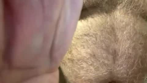 benz10001 online show from 14, 4, 2026