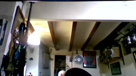 bernichaos77 online show from 17, 3, 2026