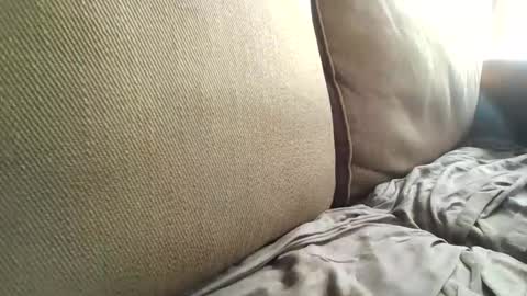 Snapshot of bertdollaz757 chatting on 18, 4, 2026 ToxicPipe757 online show from 18, 4, 2026