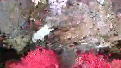 Snapshot of bertdollaz757 chatting on 20, 5, 2026 ToxicPipe757 online show from 20, 5, 2026