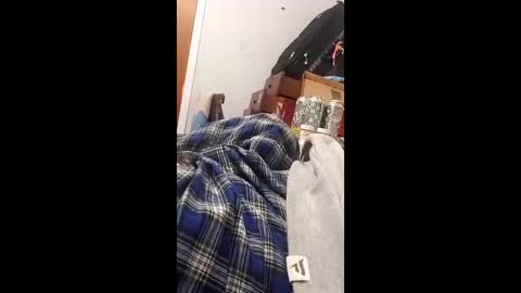 bertpace9296 online show from 23, 5, 2026