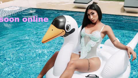 Nicolle Aviles online show from 31, 12, 2024