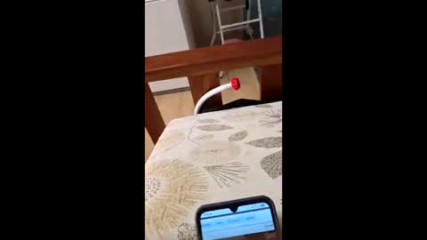 Snapshot of bf2506 chatting on 12, 2, 2026 bf2506 online show from 12, 2, 2026