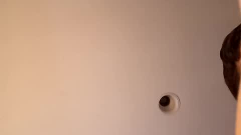 Snapshot of bgiamba21 chatting on 16, 10, 2025 bgiamba21 online show from 16, 10, 2025