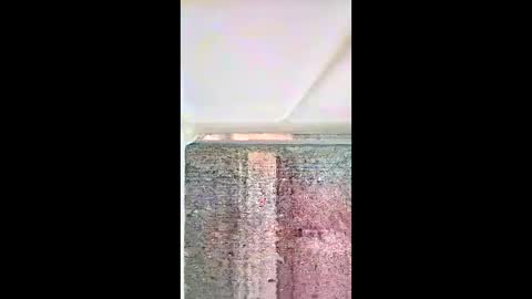 bhammerd5 online show from 17, 5, 2026