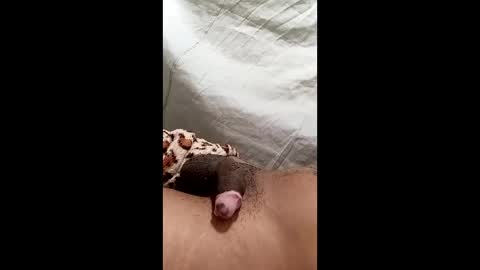 biel369737 online show from 2, 3, 2026