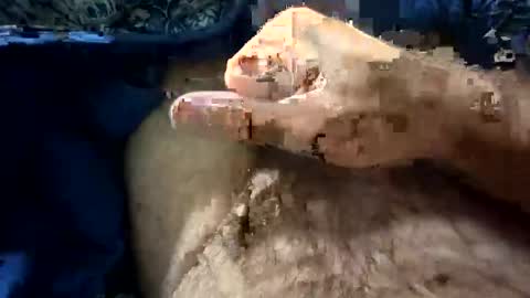 Snapshot of big88385909 chatting on 21, 10, 2025 big88385909 online show from 21, 10, 2025