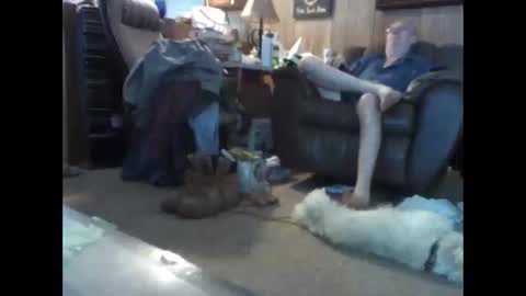 Snapshot of bigbenidick1 chatting on 15, 5, 2026 BB online show from 15, 5, 2026