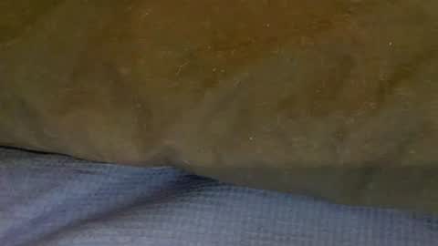 bigboii842 online show from 15, 11, 2025