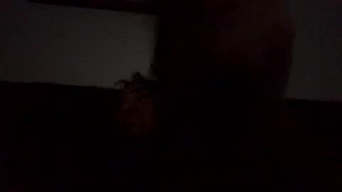 Snapshot of bigcawkdaddii chatting on 24, 2, 2025 Hunny online show from 24, 2, 2025