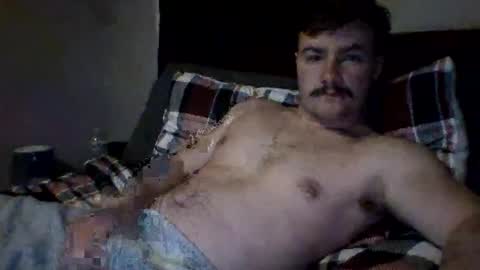 bigcock627447 online show from 17, 2, 2026