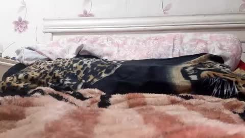 Snapshot of bigcock977654 chatting on 23, 2, 2025 bigcock977654 online show from 23, 2, 2025