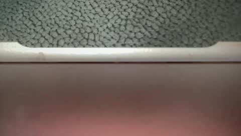 Snapshot of bigcocksuckingslut chatting on 2, 2, 2025 bigcocksuckingslut online show from 2, 2, 2025