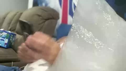 Snapshot of bigcocksuckingslut chatting on 19, 9, 2025 bigcocksuckingslut online show from 19, 9, 2025