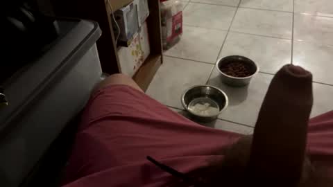 bigdaddy24569 online show from 25, 3, 2026