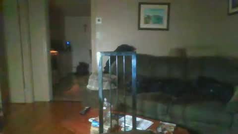 Snapshot of bigdeer581917471 chatting on 1, 2, 2025 bigdeer581917471 online show from 1, 2, 2025