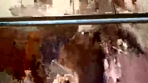 bigdick31589 online show from 4, 5, 2026
