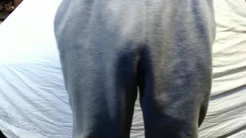 bigdickdaddy567130413 online show from 15, 1, 2025