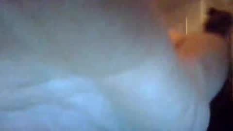 Snapshot of bigdickdaddy7201979564868 chatting on 22, 9, 2025 bigdickdaddy7201979564868 online show from 22, 9, 2025