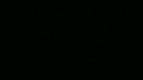 Snapshot of bigdickfitdude34 chatting on 14, 9, 2025 bigdickfitdude34 online show from 14, 9, 2025