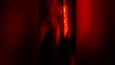 bigdickpapishampoo online show from 23, 12, 2025