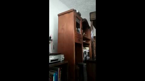 Snapshot of bigfalo58 chatting on 20, 12, 2025 bigfalo58 online show from 20, 12, 2025