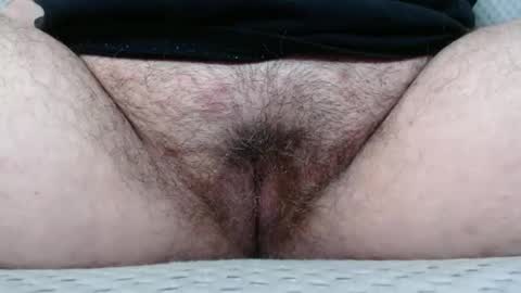 Abby online show from 8, 11, 2025