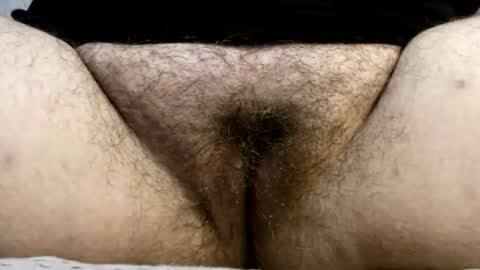 Snapshot of bighairyabby chatting on 23, 7, 2026 Abby online show from 23, 7, 2026