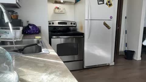 Snapshot of bigheadaddy90 chatting on 27, 11, 2025 Daniel Noelia online show from 27, 11, 2025