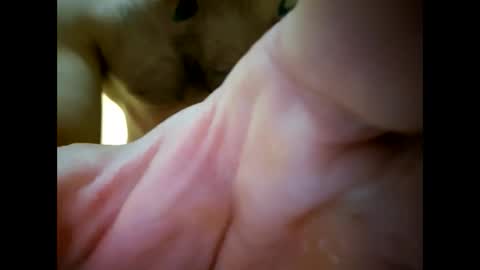 bigjoeyblow online show from 1, 11, 2025