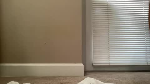 bigjohnsmith5 online show from 11, 2, 2025