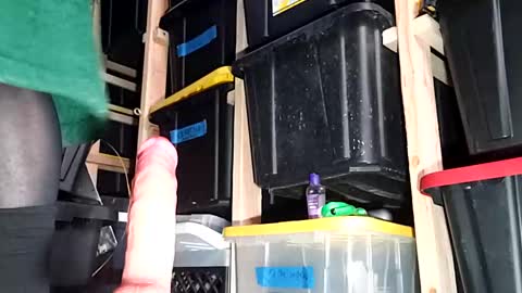 bigmanaround9 online show from 6, 12, 2024