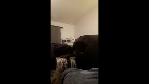 bigmeatywidesolelover online show from 21, 4, 2026