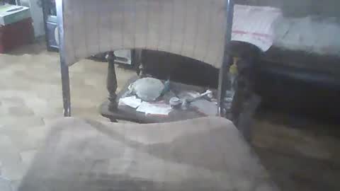 bigpenix online show from 21, 12, 2024