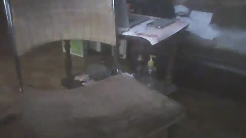 bigpenix online show from 15, 1, 2025