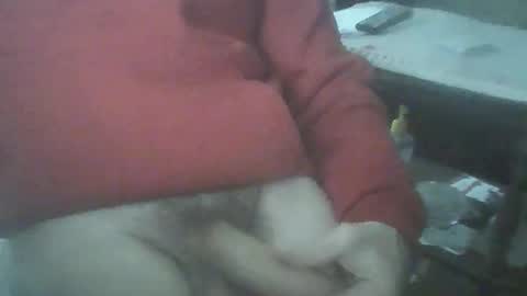 Snapshot of bigpenix chatting on 6, 6, 2026 bigpenix online show from 6, 6, 2026
