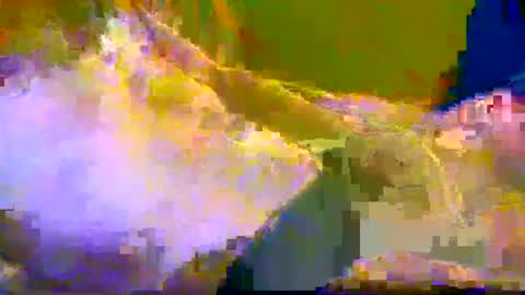 Snapshot of bigrigxxxx chatting on 10, 12, 2024 bigrig online show from 10, 12, 2024