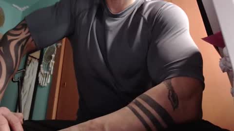 BigStallion online show from 6, 2, 2026