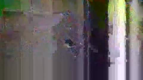 bigsteppa2027 online show from 20, 10, 2025