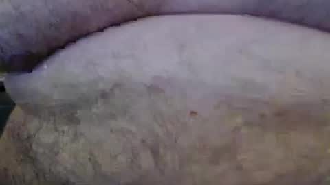 Snapshot of bigstudfred chatting on 8, 3, 2026 jason online show from 8, 3, 2026