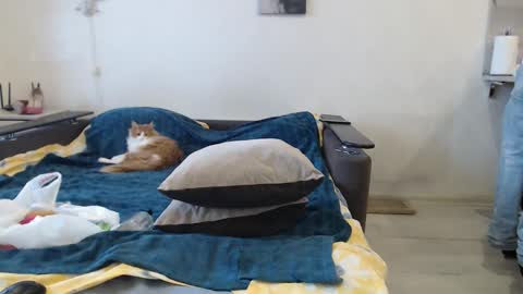 Snapshot of bigtwinsomg chatting on 20, 2, 2026 BigTwinsOmg online show from 20, 2, 2026