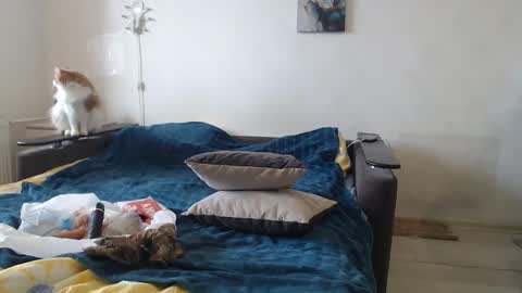 Snapshot of bigtwinsomg chatting on 24, 2, 2026 BigTwinsOmg online show from 24, 2, 2026