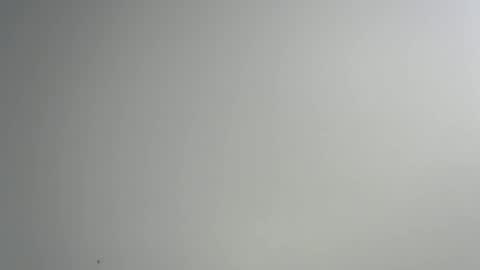 bigxcountry_39 online show from 15, 2, 2026