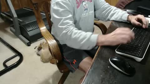 billy471 online show from 5, 1, 2025